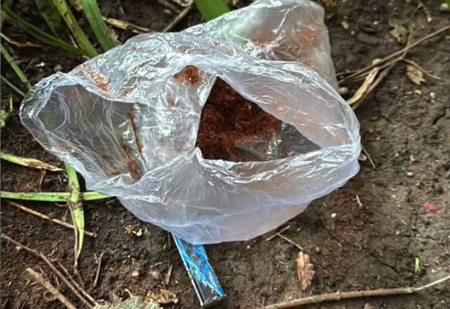 Doi traficanți de droguri, prinși la Brașov! Poliția a aruncat stupefiantele pe geam când au fost descoperiți