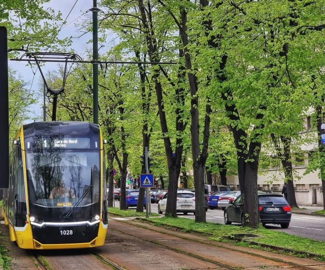 STPT: Mai puțin de 40% dintre călători își validează biletele în Timișoara