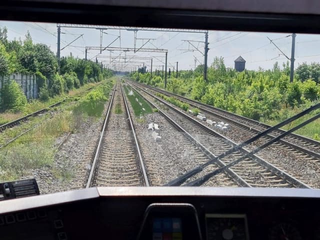 Sindicaliștii reacționează la inițiativa lui Miruță: „Problemele sistemului feroviar nu se rezolvă doar cu formular online”