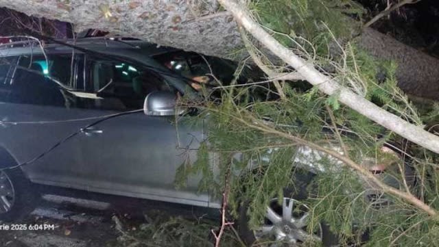 Codul de vreme severă produce primele efecte în Brașov. Copaci căzuți peste mașini, drumuri blocate și garaje inundate