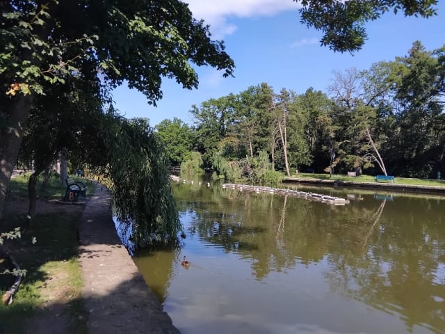 Buzoienii trebuie să repornească cosirea brădișului de pe Heleșteu în urma furtunii