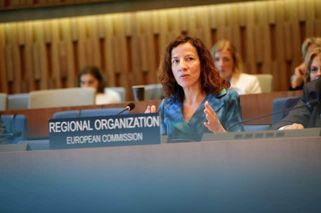 Roxana Mînzatu participă la reuniunea UNESCO despre viitorul educației globale