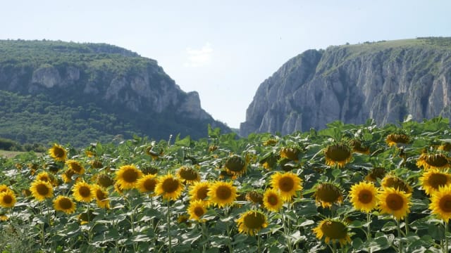 Cheile Turzii atrag tot mai mulți turiști străini în 2026