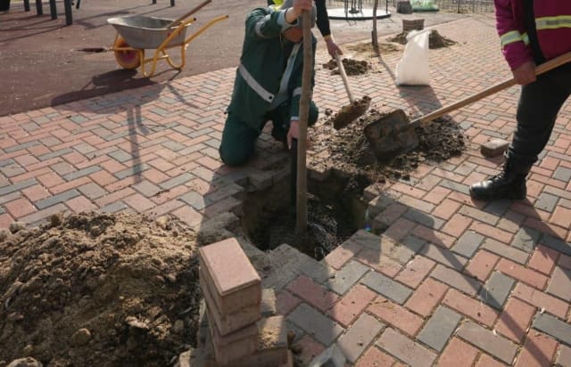 Primăria Sectorului 3 alocă încă 80 milioane de lei pentru pavele, borduri și garduri