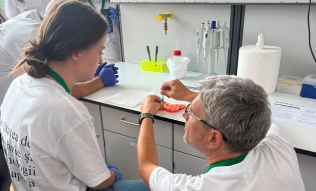 USAMV Cluj realizează prima secvențiere completă a genomului insectei Drosophila suzukii din România