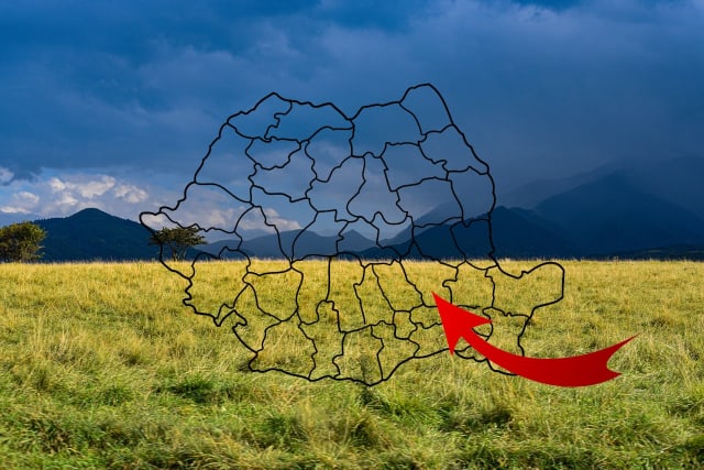 Locul din România unde căpșunile se culeg 9 luni pe an cu tehnologie high-tech