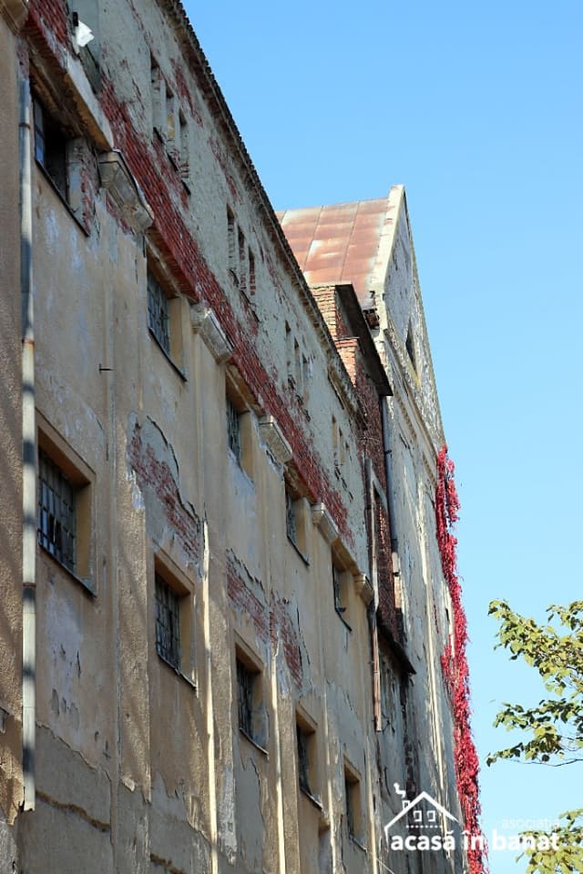 Demolarea Morii Prohaska continuă în Timișoara, ONG-ul cere oprirea imediată