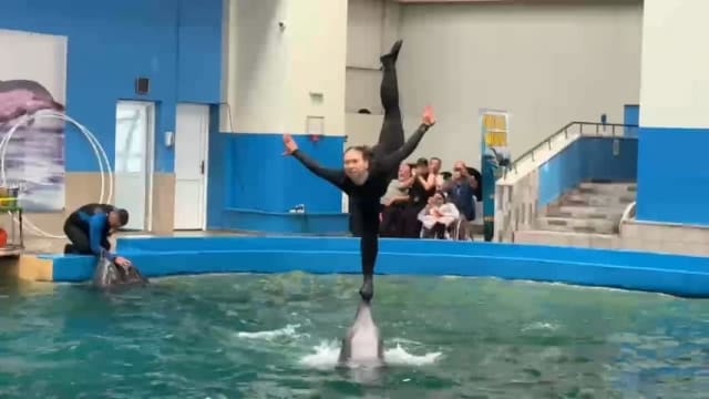 +VIDEO: Aglomeratie la Delfinariul din Constanța! Toate biletele pentru primele trei reprezentații au fost epuizate