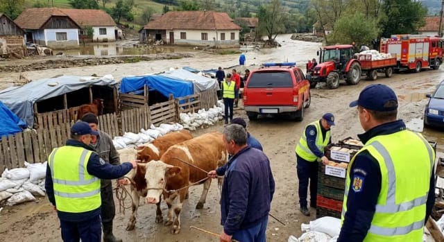 ANSVSA a impus măsuri stricte pentru protecția animalelor în zonele afectate de inundații și viituri