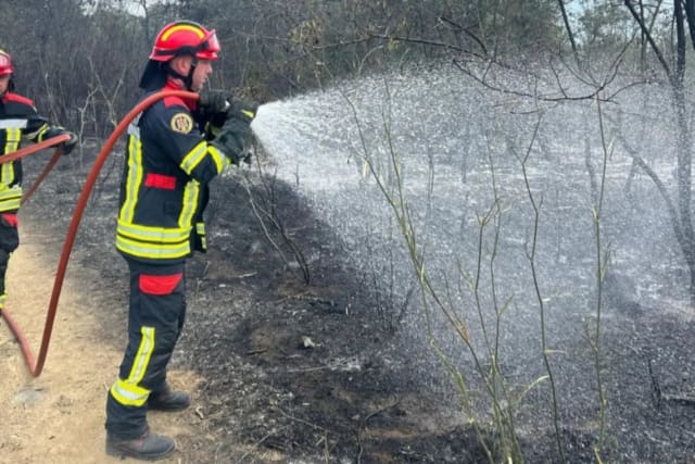 Incendiile de vegetație au mistuit peste 50 de hectare în județul Timiș