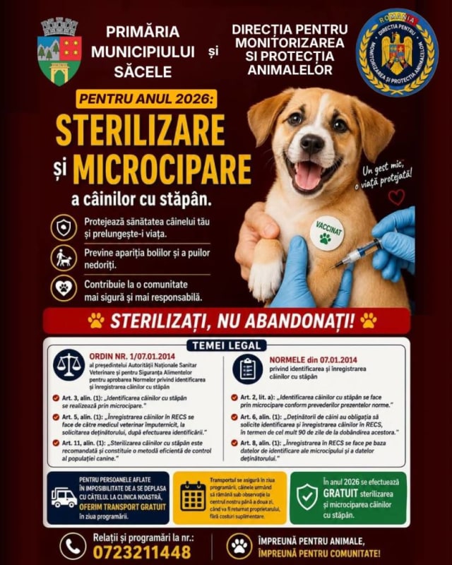Primăria Săcele organizează campanie gratuită de sterilizare și microcipare a câinilor cu stăpân în 2026