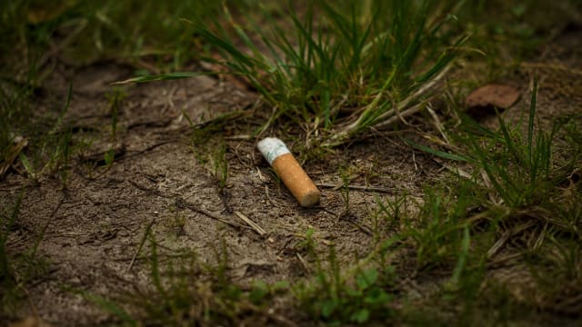 Aproape 18% dintre fumătorii din Franța aruncă chiștoace din mașină în sezonul incendiilor
