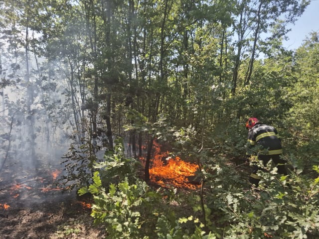Incendiu de vegetație din Berzasca și Sichevița. Pompierii intervin cu sprijin aerian