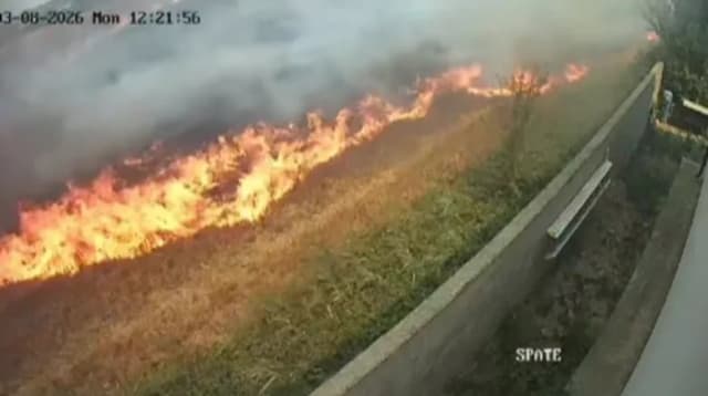 Incendiu de vegetație în Bacău: șapte hectare de miriște au ars în comuna Hemeiuș