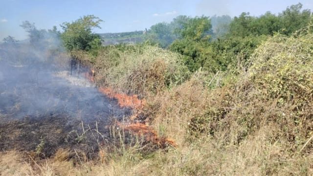 Pompierii buzoieni intervin pentru stingerea unui incendiu de vegetație în satul Oratia