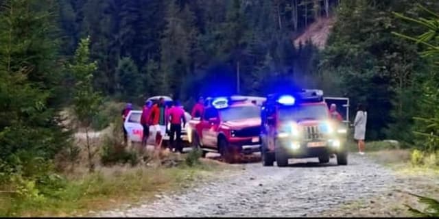 Un bărbat atacat de urs în pădurea din comuna Mănăstirea Cașin, recuperat de jandarmi după intervenție de urgență
