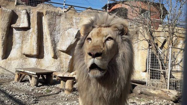 Două zile de sărbătoare la Grădina Zoologică din Brașov cu evenimente dedicate biodiversității