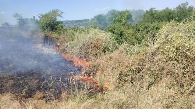Incendiu de amploare la Podgoria: 100 de hectare de vegetație au ars în câteva ore