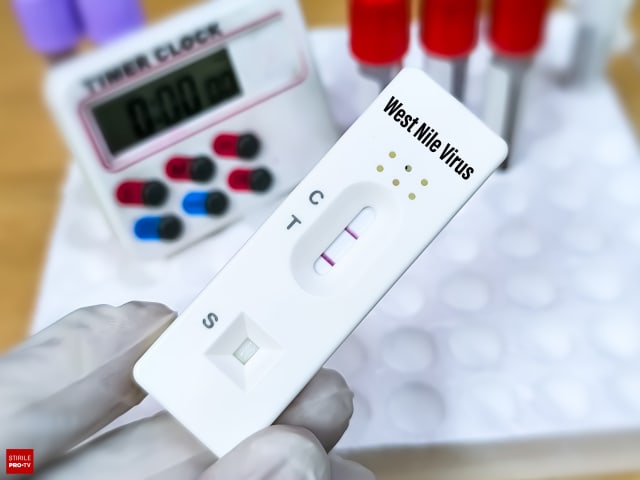 Alerta West Nile: două persoane s-au stins din viață, cazurile au ajuns la 10 și se recomandă măsuri de protecție