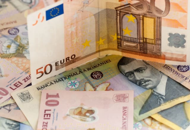 Doi membri ai board-ului BNR analizează trecerea la euro: tehnologia e pregătită, dar condițiile nu sunt îndeplinite