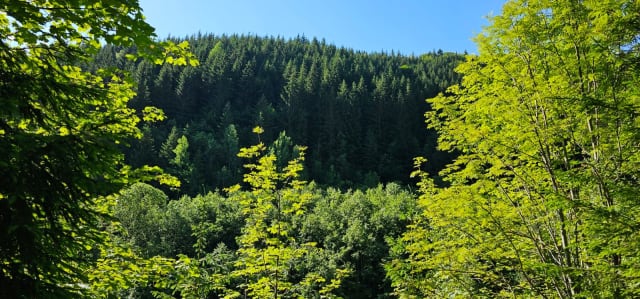Vremea în vestul țării: temperaturi în creștere și averse locale în Crișana și Banat