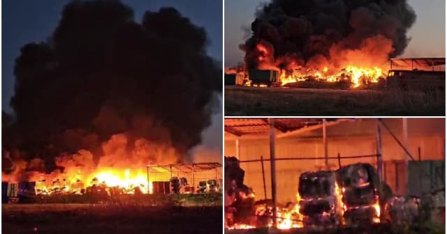 Incendiu devastator la depozit de uleiuri și mase plastice din Lumina, fumul negru vizibil de la zeci de metri