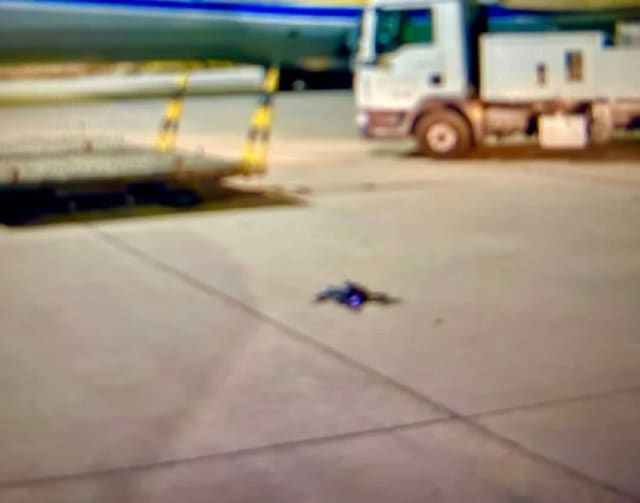 O echipă EOD a Forțelor Navale a recuperat o aripă de dronă în zona platformei Neptun Alpha