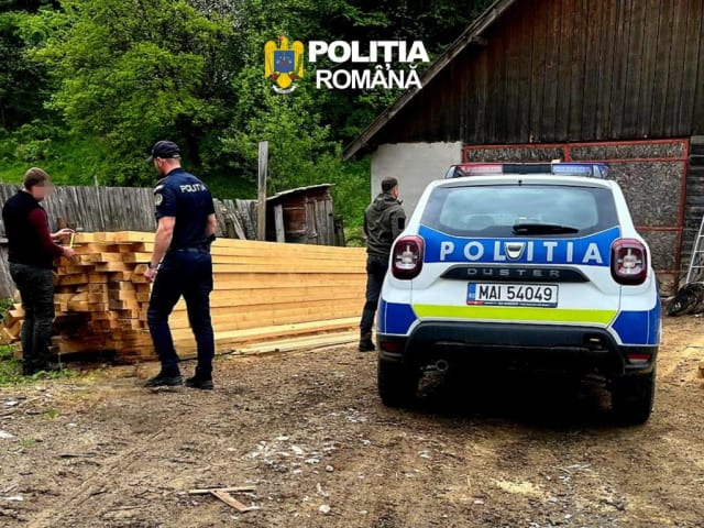 Infracțiunile silvice au crescut cu 7,5% în primele șase luni din 2026, peste 41.500 de metri cubi de lemn, confiscați