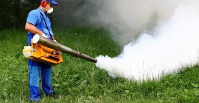Dezinsecție în Săcele în noaptea de 20 spre 21 august: apel către cetățeni și apicultori