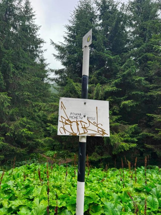 Salvamont Râșnov recomandă păstrarea marcajelor turistice curate și vizibile