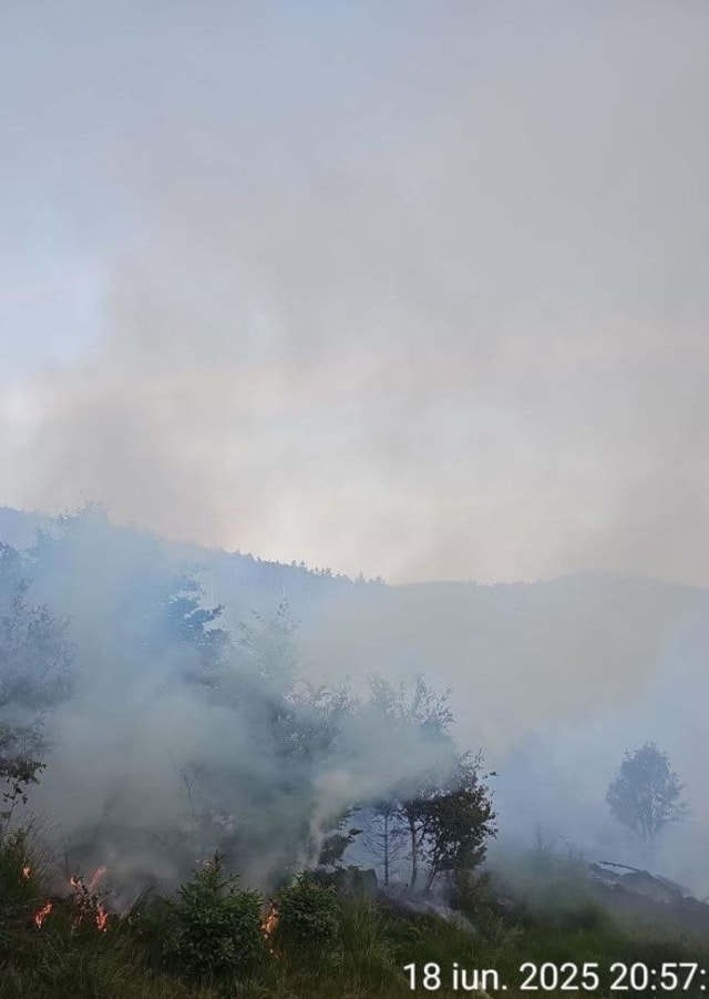 Incendiu forestier din Serbia, care arde de săptămâni, se resimte în Timiș