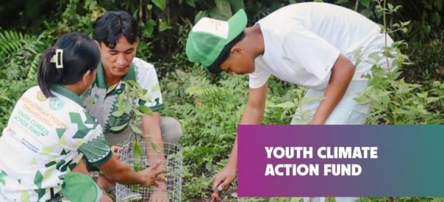 Timișoara a fost selectată în proiectul Youth Climate Action Fund de Bloomberg Philanthropies