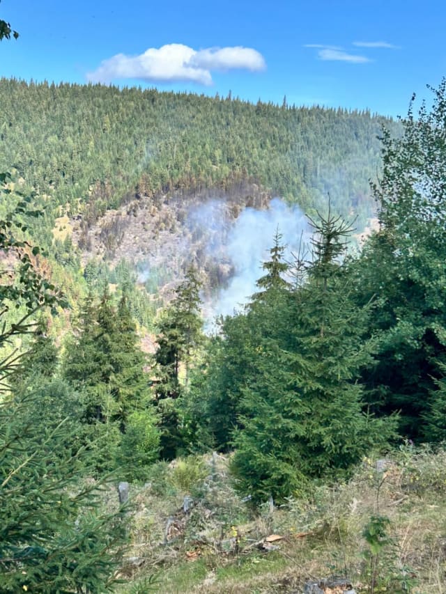 Incendiu de vegetație la Mărișel, în zona Crucea Iancului, în curs de intervenție