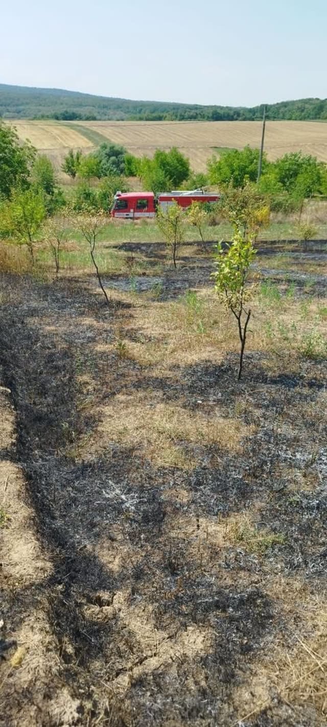 Trei incendii de vegetație uscată au izbucnit ieri în Cristești, Tudor Vladimirescu și Dorohoi