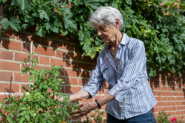 O bătrână de 89 de ani primește ordin să îndepărteze grădina de pe stradă din Londra