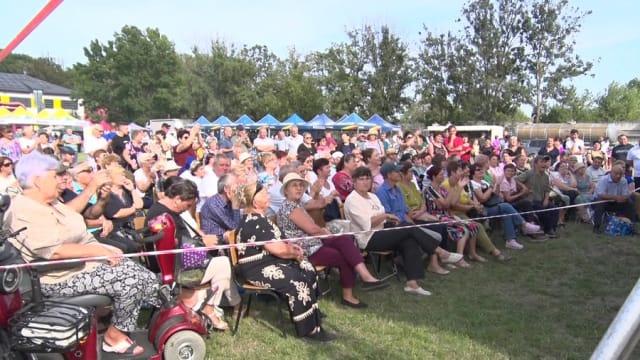 Verneștiul va organiza în weekend o sărbătoare cu artiști renumiți