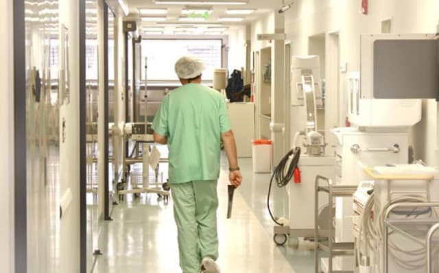„Boala ploilor” se răspândește în Europa, simptome și expunere