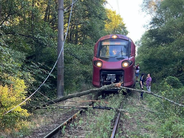 Copac căzut în gabaritul liniei de contact pe o magistrală feroviară din Banat