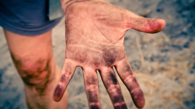 11 septembrie 2026: Cercetări arată beneficiile contactului cu solul pentru imunitate