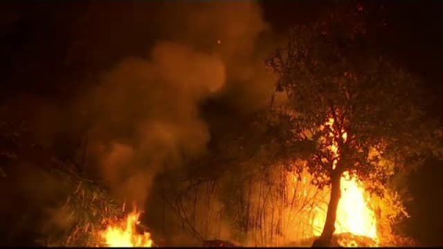 flăcări de incendiu în sudul Italiei, zone turistice și locuințe afectate