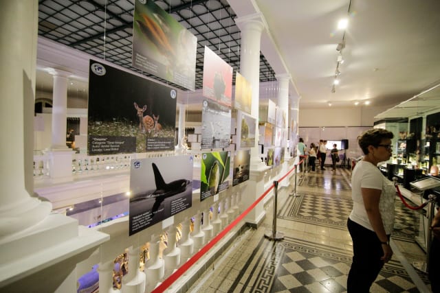 17 septembrie 2026: Bucureștiul a lansat proiectul 'Triunghiul Muzeelor' pe Kiseleff