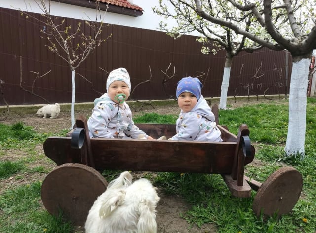 Familia Ungureanu solicită sprijin pentru terapia gemenilor cu autism
