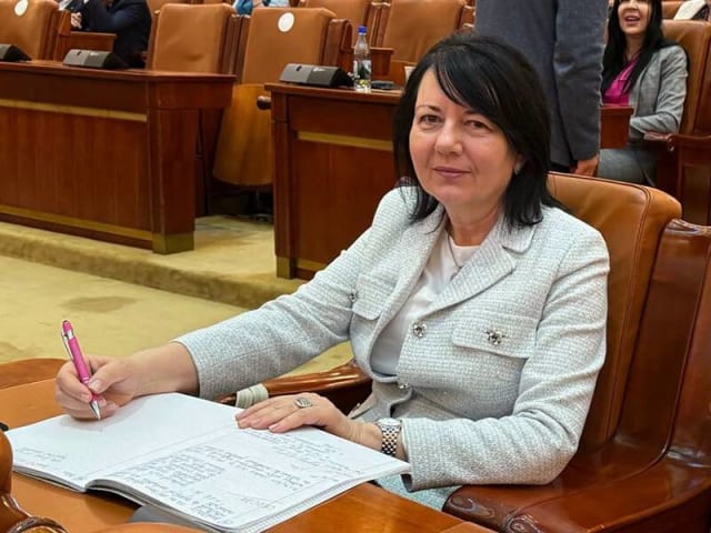 documente și platforme digitale pentru achiziții publice