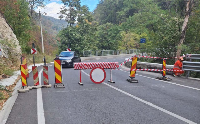 Dezastru în Parcul Național Domogled-Valea Cernei: peste 430 de hectare de pădure au fost mistuite de flăcări