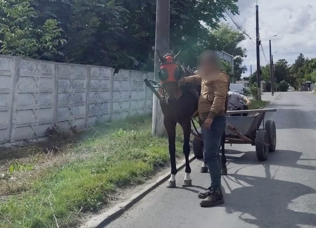 CONSTANȚA: Polițiștii au confiscat o căruță circulată ilegal pe stradă