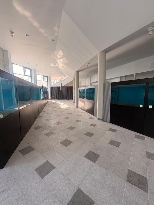 Acvariul din Constanța va funcționa provizoriu în cadrul Delfinariului în octombrie