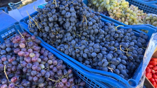 Mustul proaspăt se vinde în piețele din București la prețuri variate