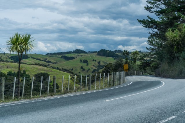 Circuit de patru zile prin nordul Dobrogei, în jurul Deltei