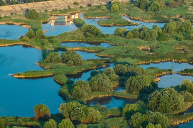 Parcul Natural Văcărești din București a fost inclus duminică în rețeaua europeană Natura 2000