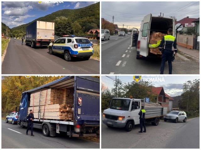 control poliție transport lemn în Cluj